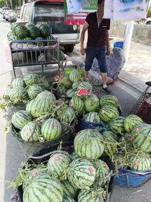 徐州丰县吃瓜事件