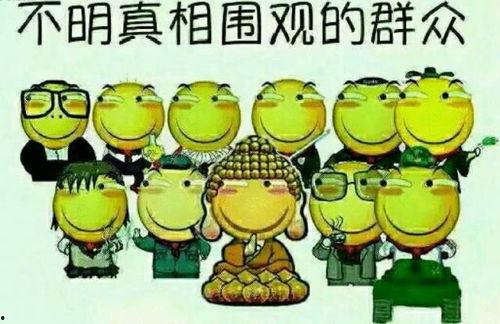 英语老师吃瓜群众,英语老师视角下的吃瓜群众众生相