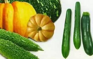 吃瓜的宝,揭秘娱乐圈幕后故事