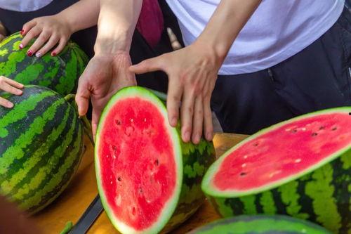 到学校吃瓜,揭秘校园里的那些“秘密”美食