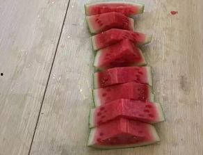 吃瓜比赛出现饕餮,吃瓜比赛中的狂欢与挑战