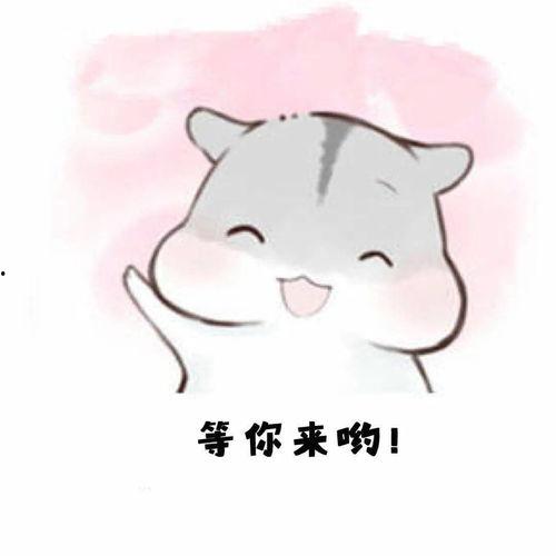 白仓鼠吃瓜表情包,白仓鼠吃瓜表情包的趣味解读