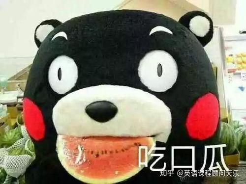 吃瓜可以怎么形容,吃瓜群众视角下的社会百态