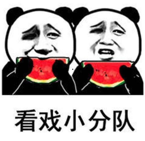 表情包图吃瓜图片,表情包中的社会百态